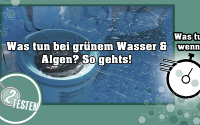 Was tun bei grünem Wasser & Algen?